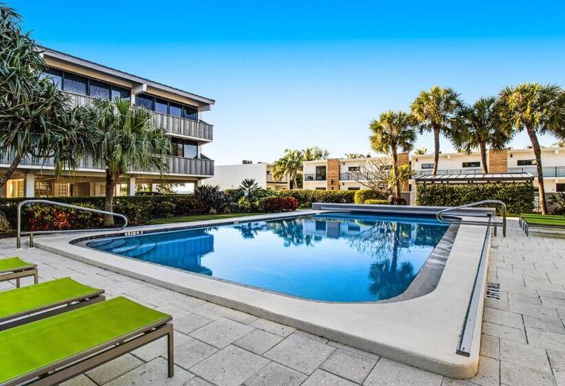 فندق Serenity Now