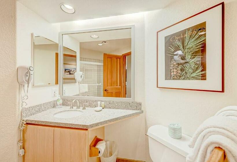 ホテル Ski In Ski Out Squaw Valley Lodge Slopeside Townhome