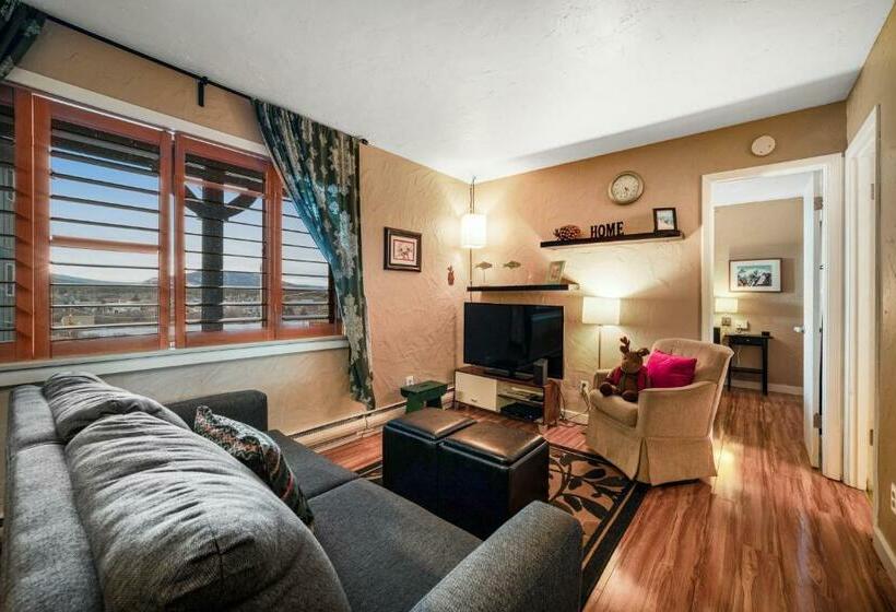 Отель Winter Park Meadows Lodge