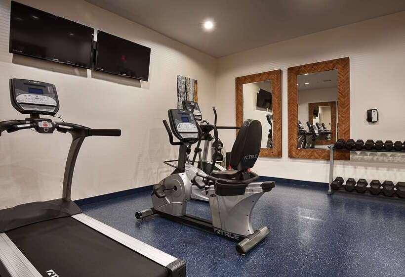 هتل Best Western Premier Ashton Suiteswillowbrook