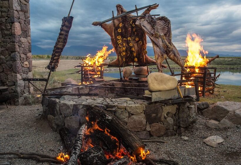 Hotel The Vines Resort & Spa