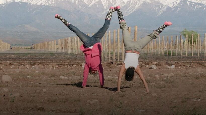 Hotel The Vines Resort & Spa