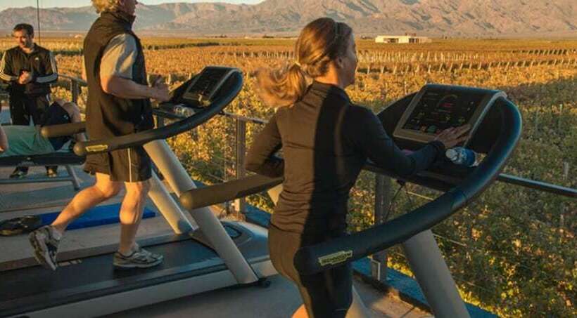 Hotel The Vines Resort & Spa