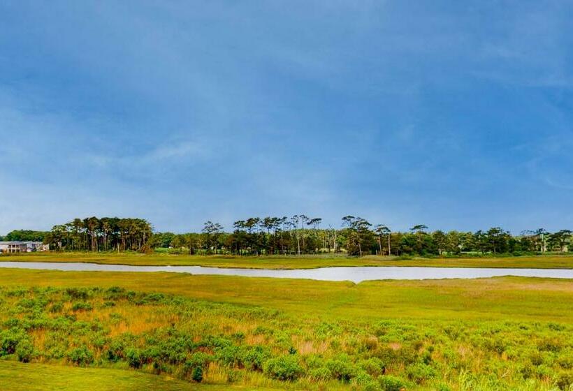 هتل Bethany Bay Big Marsh