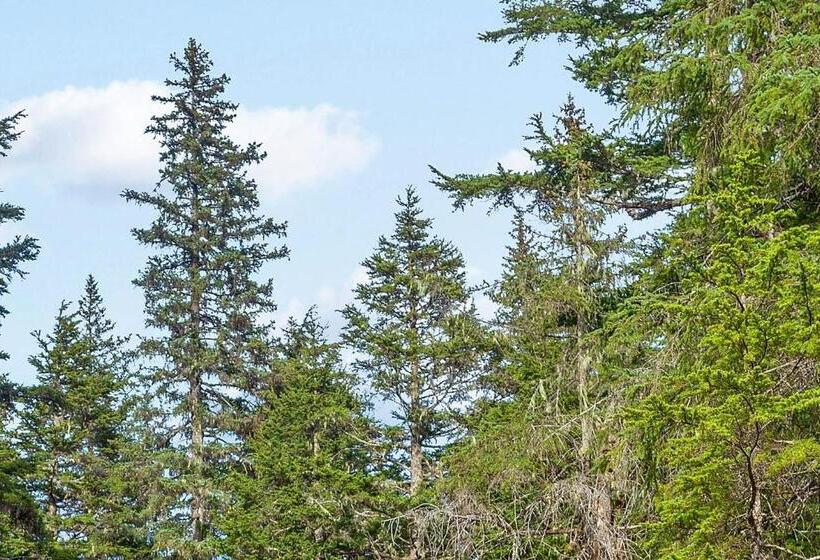 فندق Cozy Crystal Mountain Condo