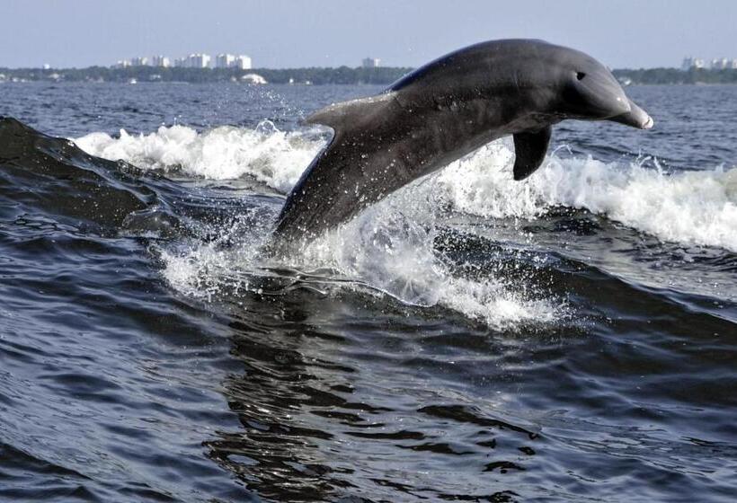 هتل Back Bay Condominium #708