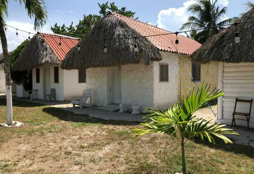 Пансион Cabaña 7 Leguas, Casa Mama El Cuyo