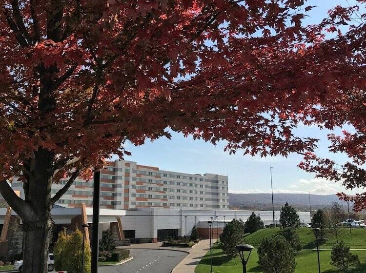 호텔 Mohegan Pennsylvania   Adults Only