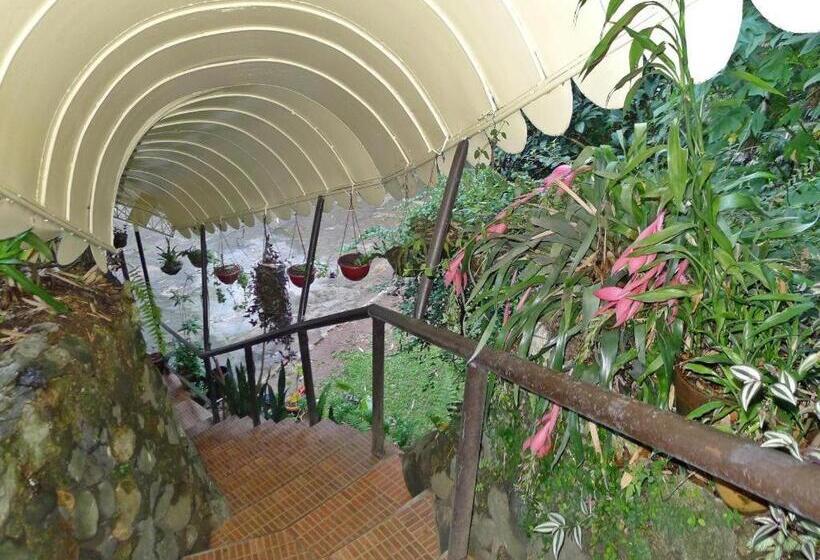 فندق Mountain Lodge