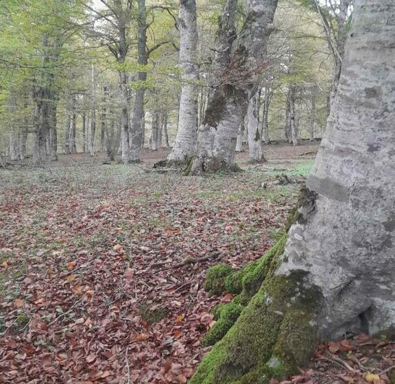 호텔 Rural Teodosio De Goñi