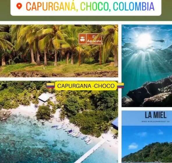 펜션 Cabaña Los Corales