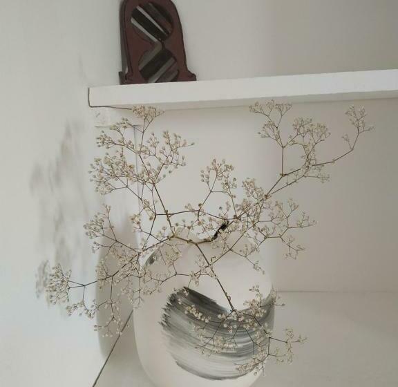 膳宿费 Terre En Mer