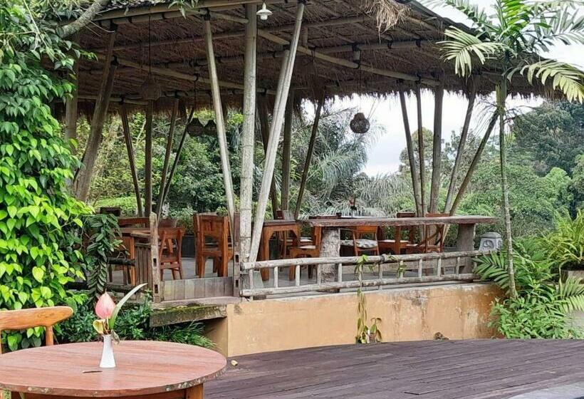 Bed and Breakfast Moringga Ubud