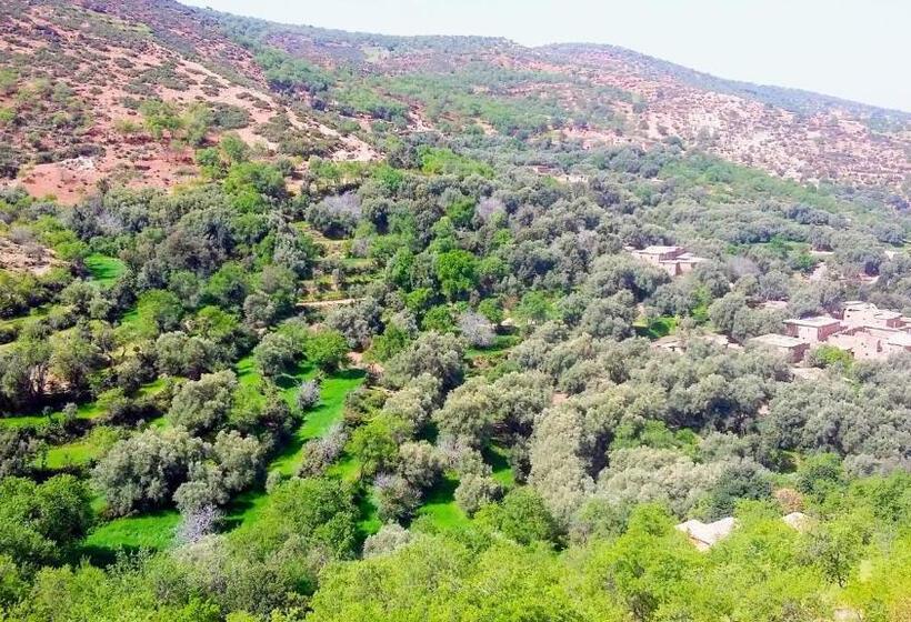 بنسيون Dar Assounfou