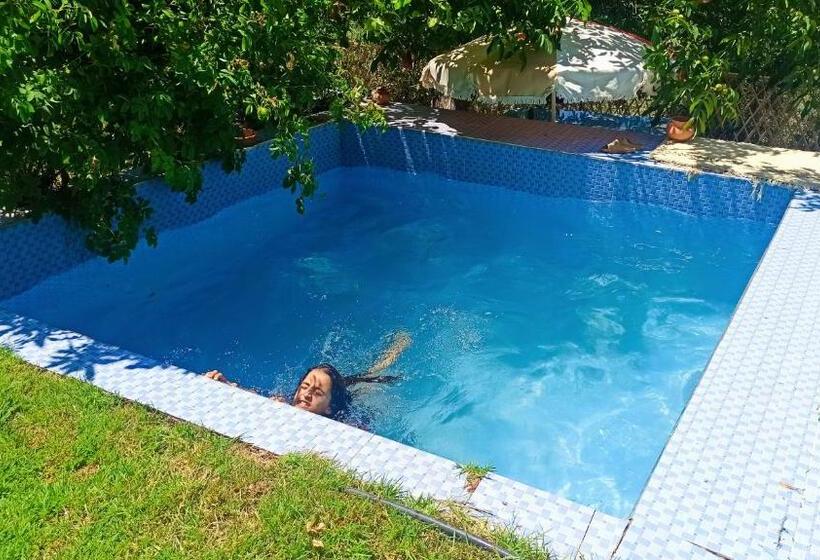 بنسيون Dar Assounfou