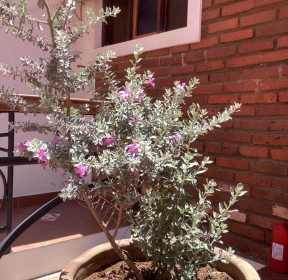 تختخواب و صبحانه Casa San Martín