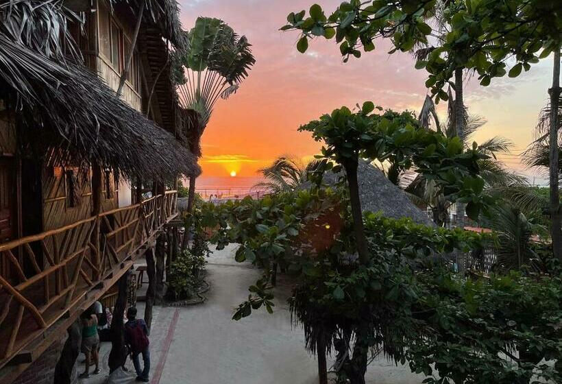 펜션 Hostal Olmito Canoa