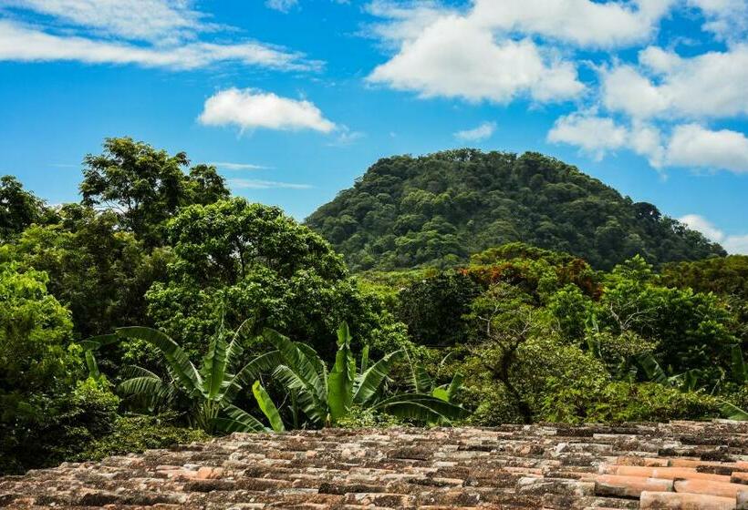 Пансион Rancho El Abuelo