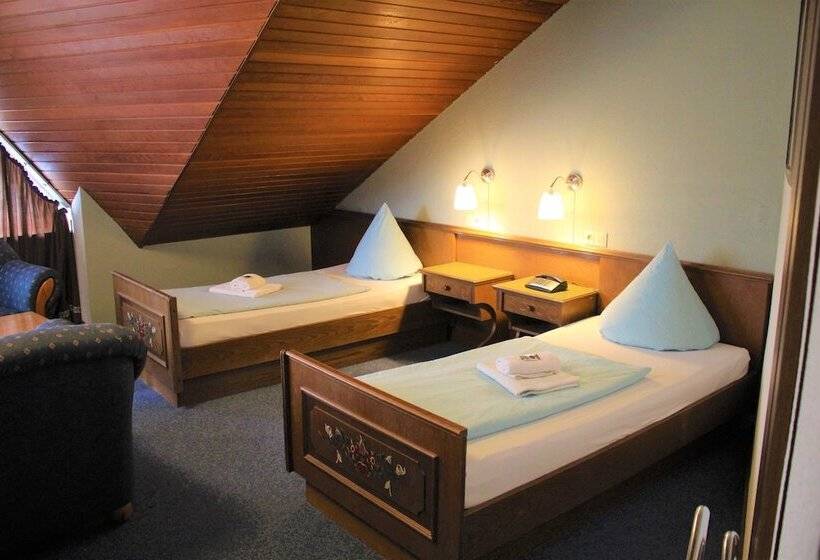 هتل Simonis Koblenz