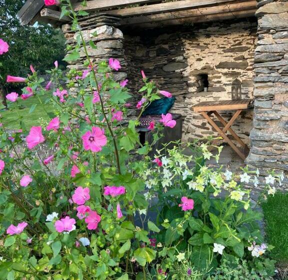 Bed and Breakfast Hares Hideaway At Coed Moelfa