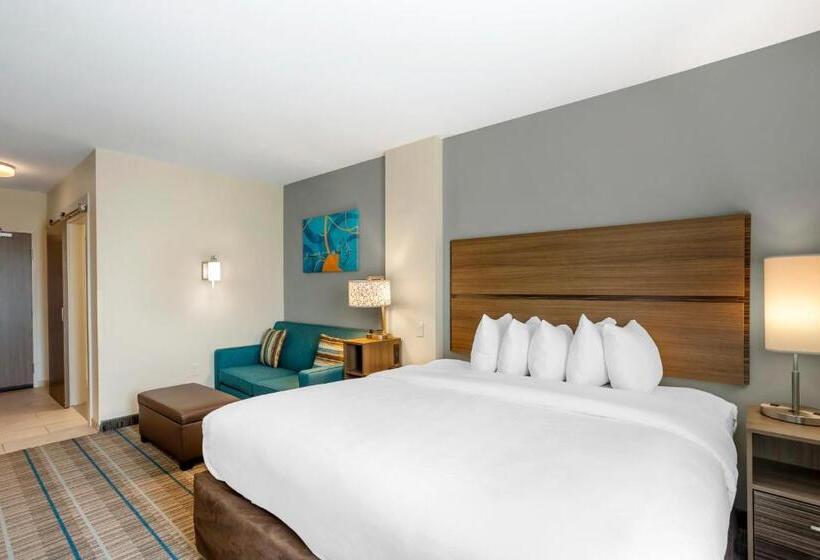 酒店 Mainstay Suites North  Central York