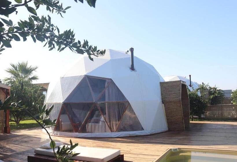 هتل Mandalin Glamping