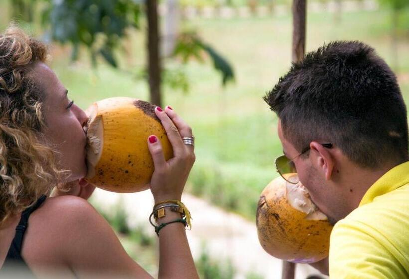 호텔 Raddegoda Walawwa Kurunegala