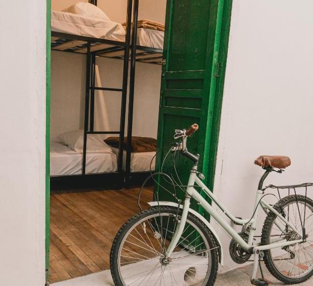 Wild Monkey Hostel