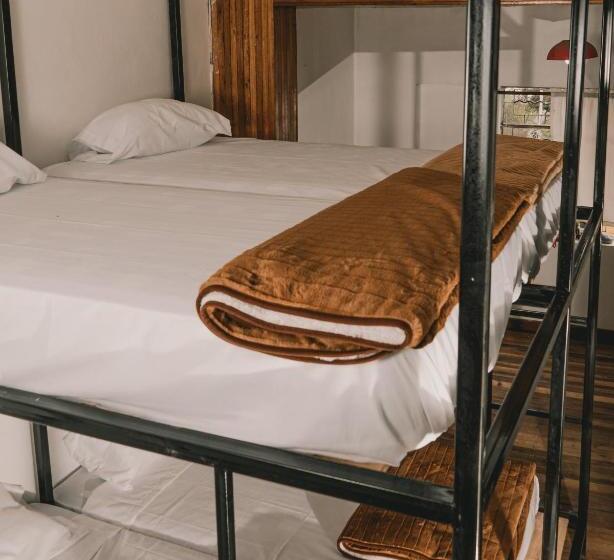 Wild Monkey Hostel