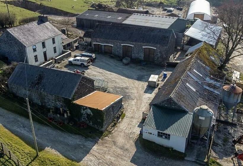 Bed and Breakfast Abernaint Fawr, Crugybar, Llanwrda