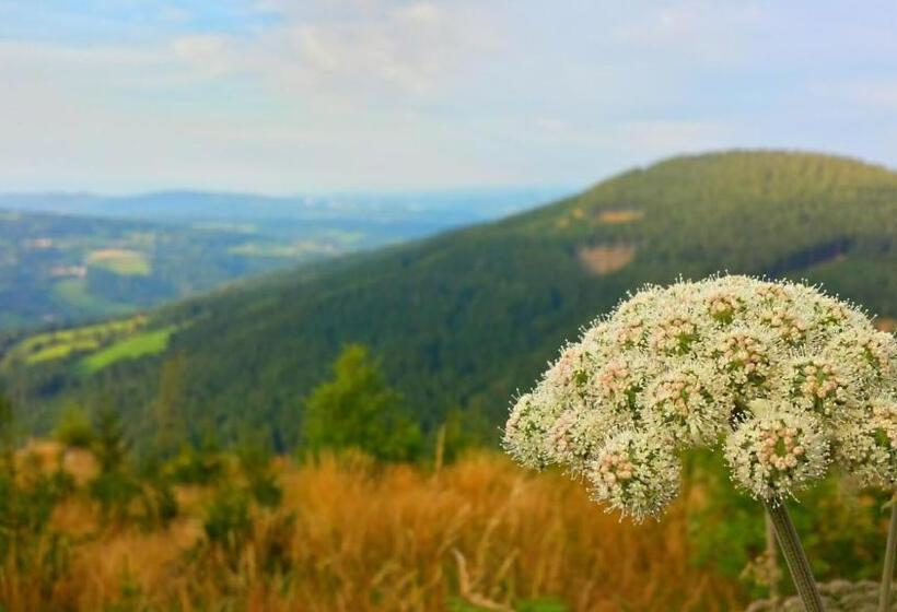민박 Wald Panorama Zimmer