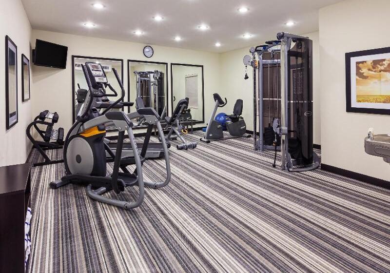 בית מלון כפרי Candlewood Suites San Angelo, An Ihg