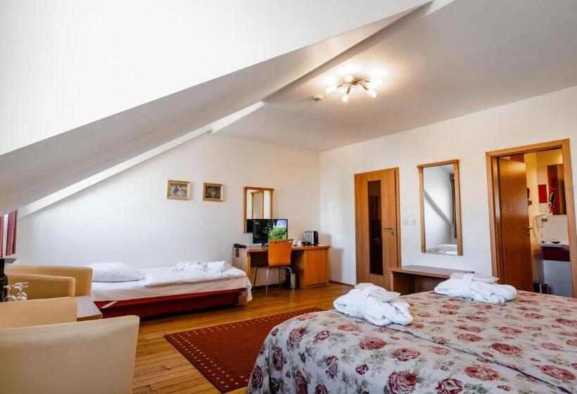 هتل Galant Mikulov