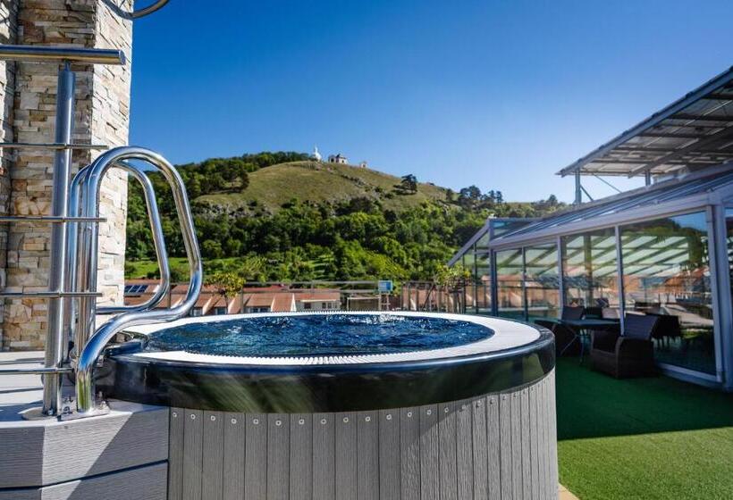 هتل Galant Mikulov