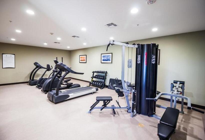 בית מלון כפרי Staybridge Suites Plano   Legacy West Area, An Ihg