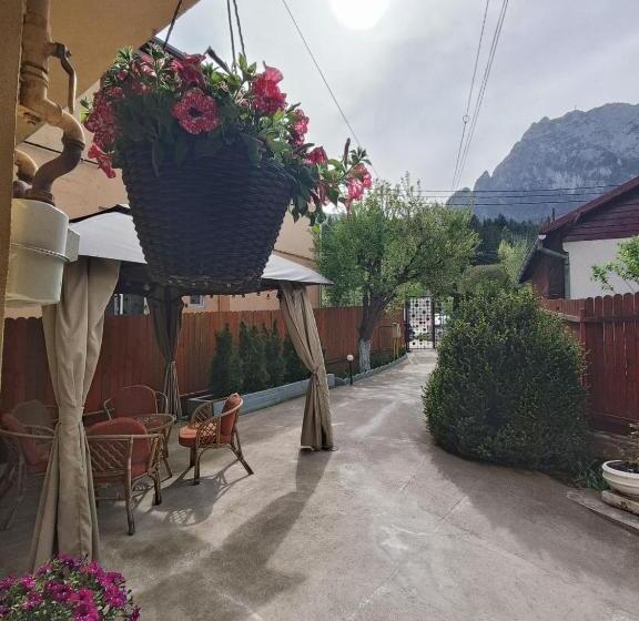 ペンション D&d Busteni