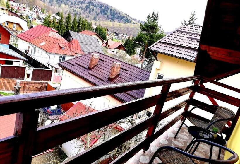 ペンション D&d Busteni