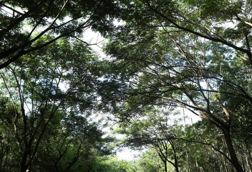 هتل Intercontinental Khao Yai Resort, An Ihg