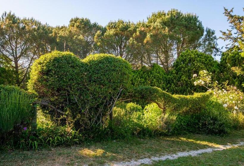 בית מלון כפרי Stella Nord Podere Carbone