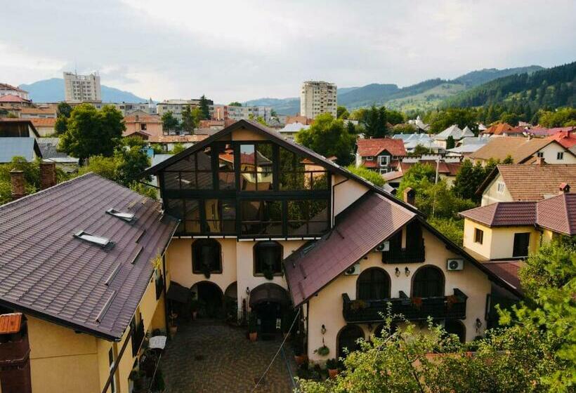 Пансион Iris Bucovina