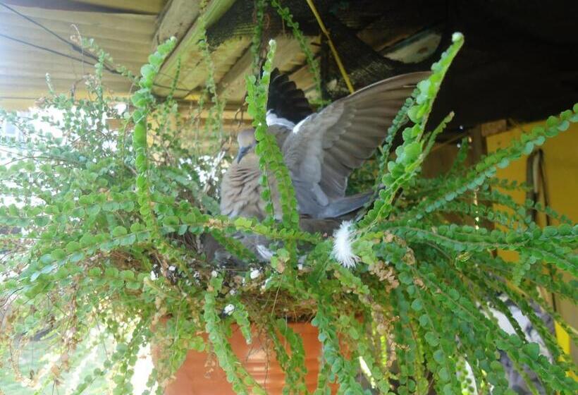 هاستل Posada Sunshine Paradise