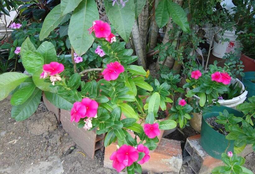 هاستل Posada Sunshine Paradise