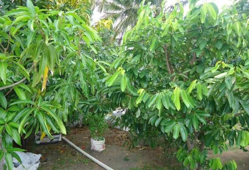 هاستل Posada Sunshine Paradise