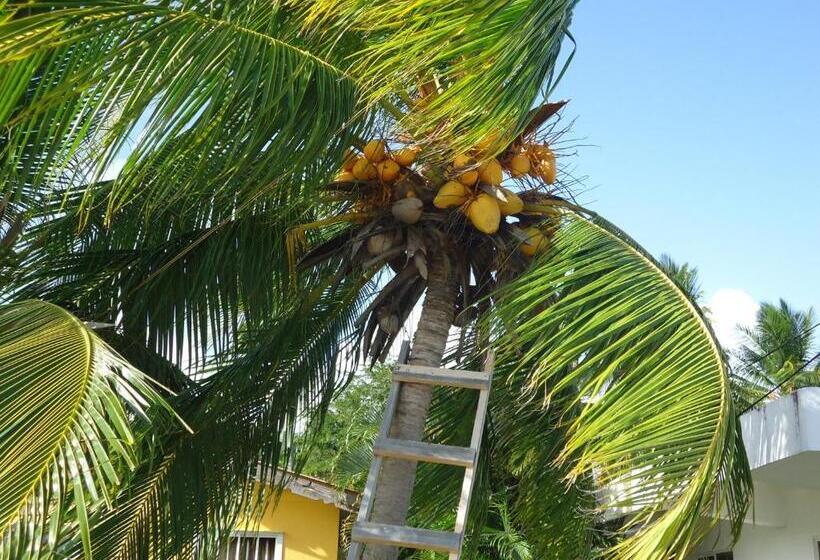 هاستل Posada Sunshine Paradise