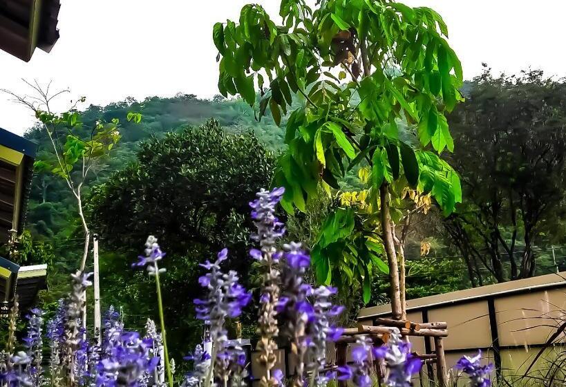 استراحتگاه บ้านโจมเขาใหญ่ Baan Jome Khaoyai