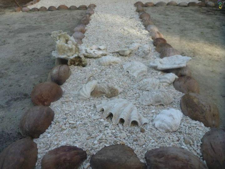 هاستل Nyang Ebay Surf Camp Siberut Mentawai Surfing Barrels