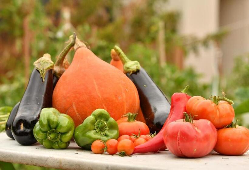مبيت وإفطار ô Gré Des Sens