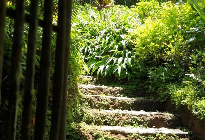 مبيت وإفطار Maka Kalinaw 6 Wabi Sabi Room, Forest And Garden View