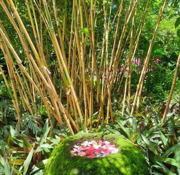 مبيت وإفطار Maka Kalinaw 6 Wabi Sabi Room, Forest And Garden View