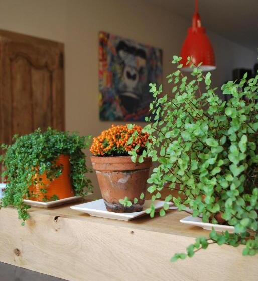 住宿加早餐  Natangora